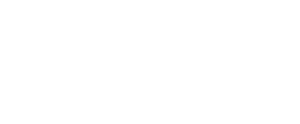 Merlin Solution LLC Logo
